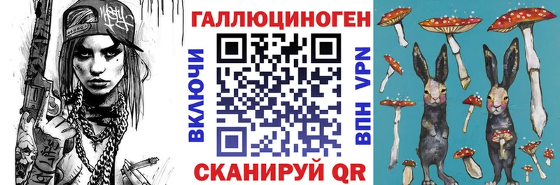 Купить  Горячий Ключ  Псилоцибиновые грибы GOLDEN TEACHER 